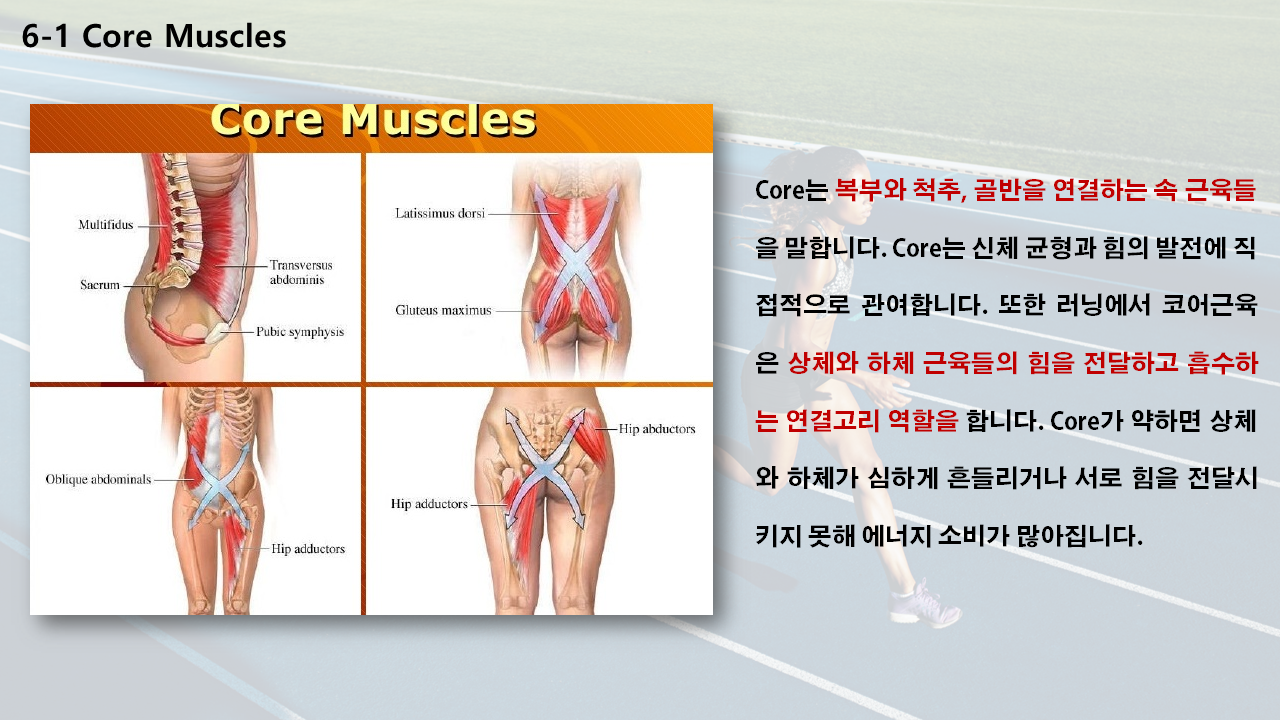 mb-file.php?path=2020%2F06%2F20%2FF147_6-1%20Core%20Muscle.png